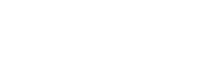 Logo Alza