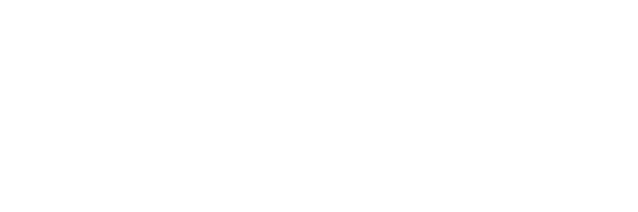 Logo BlueStyle